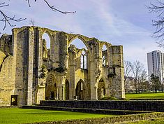 Parc de l'Abbaye du Lys, Dammarie-lès-Lys - Agrandir l'image (fenêtre modale)