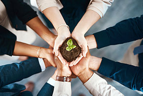 Groupe de personnes portant une jeune pousse