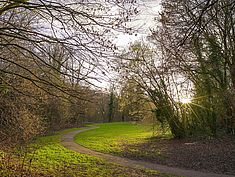 Parc de Spelthorne, Melun - Agrandir l'image (fenêtre modale)