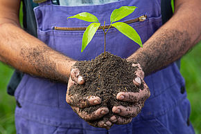 Agriculture biologique, visuel non contractuel