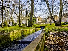 Parc de Farcy, Dammarie-lès-Lys - Agrandir l'image (fenêtre modale)