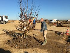 Plantation du premier arbre de la ZAC du Tertre de Montereau - Agrandir l'image (fenêtre modale)