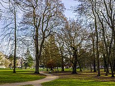 Parc de l'Abbaye du Lys, Dammarie-lès-Lys - Agrandir l'image (fenêtre modale)