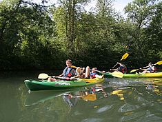 Bords de Seine de Melun - Agrandir l'image (fenêtre modale)