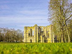 Parc de l'Abbaye du Lys, Dammarie-lès-Lys - Agrandir l'image (fenêtre modale)