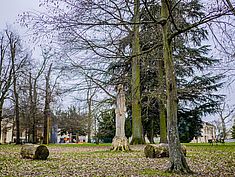 Ormessons, Vaux-le-Pénil - Agrandir l'image (fenêtre modale)