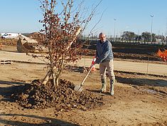 Plantation du premier arbre de la ZAC du Tertre de Montereau - Agrandir l'image (fenêtre modale)