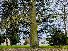 Ormessons, Vaux-le Pénil - Agrandir l'image (fenêtre modale)