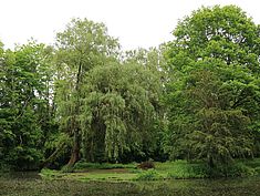 Parc Debreuil, Melun - Agrandir l'image (fenêtre modale)