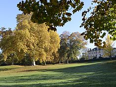 Parc, Pringy - Agrandir l'image (fenêtre modale)