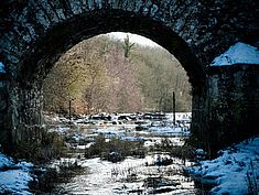 Paysage hivernal - Agrandir l'image (fenêtre modale)