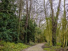 Parc Faucigny-Lucinge, Melun - Agrandir l'image (fenêtre modale)