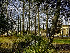 Parc Farcy, Dammarie-lès-Lys - Agrandir l'image (fenêtre modale)