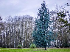 Parc Saint-Exupéry, Rubelles - Agrandir l'image (fenêtre modale)