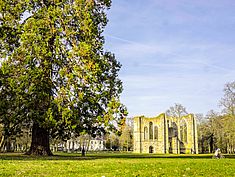 Parc de l'Abbaye du Lys, Dammarie-lès-Lys - Agrandir l'image (fenêtre modale)