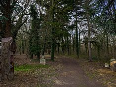 Parc Raymond Sachot, Saint-Fargeau-Ponthierry - Agrandir l'image (fenêtre modale)