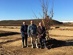 Plantation du premier arbre de la ZAC du Tertre de Montereau - Agrandir l'image (fenêtre modale)