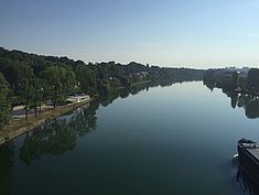 Une belle surprise - Agrandir l'image (fenêtre modale)